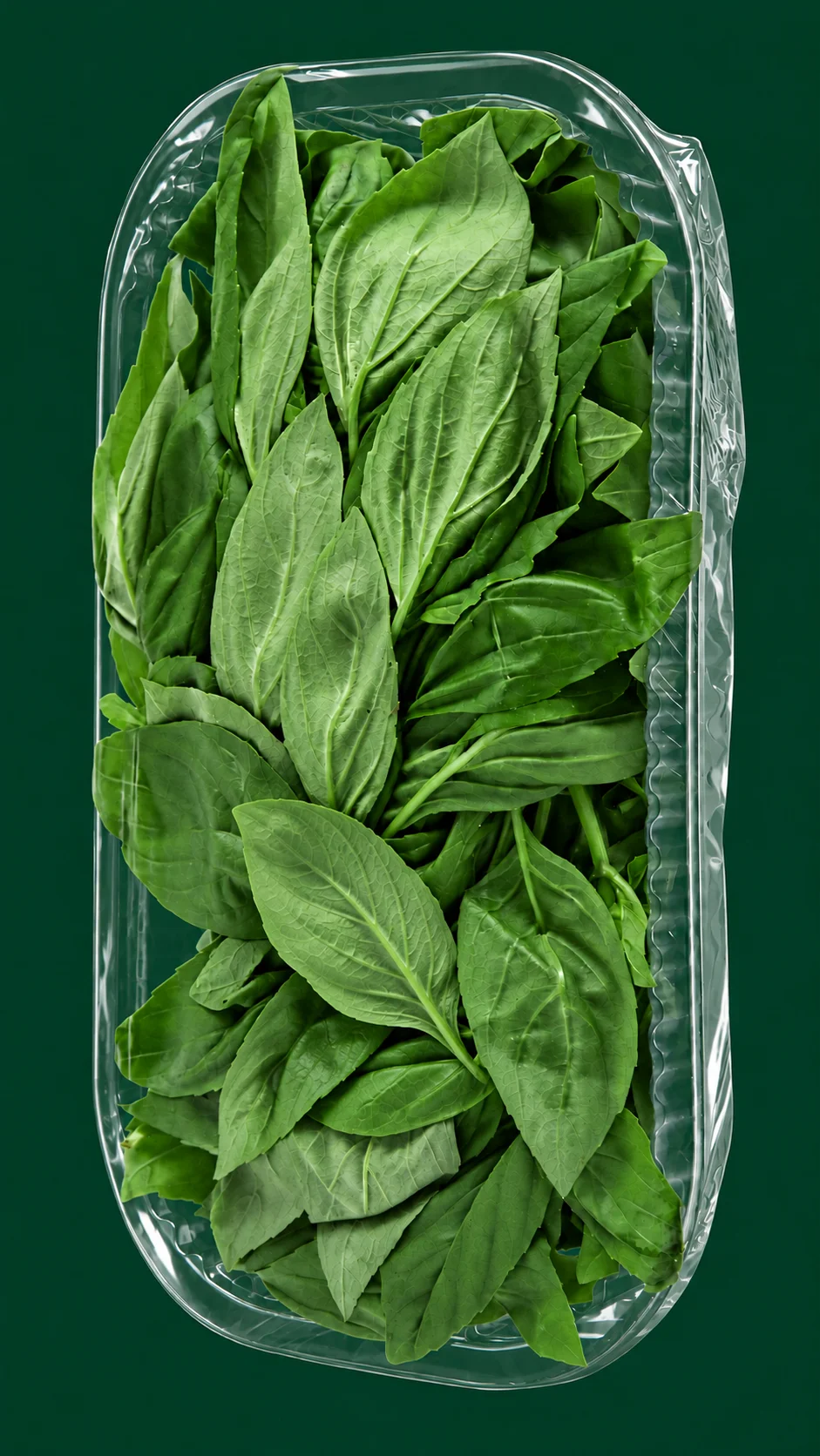Vassoio 100 g