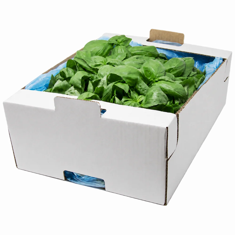Sfuso da 1 kg
